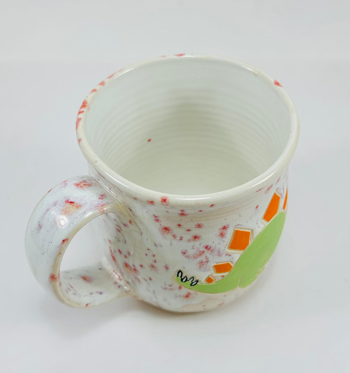 Stego Mug